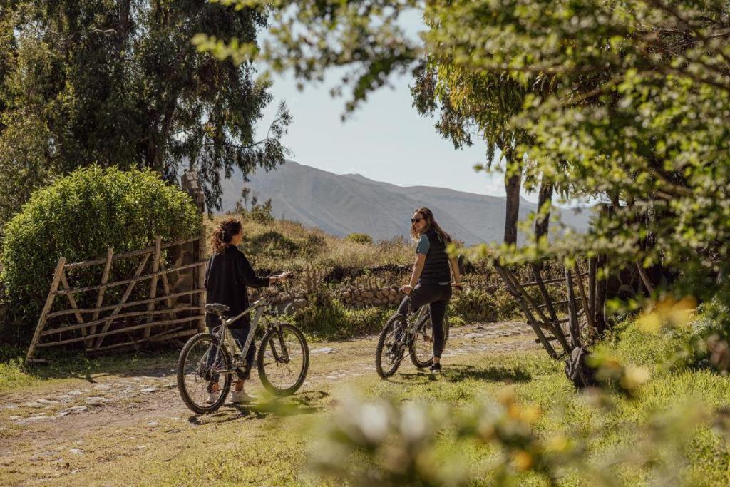 Colca Trek Lodge Best Experience Pinchollo Kültér fotó
